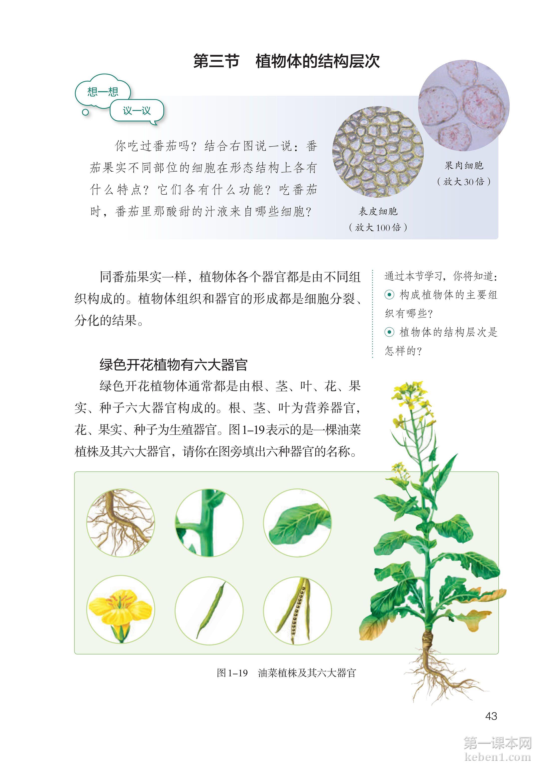 七年级生物上册人教版课本图片