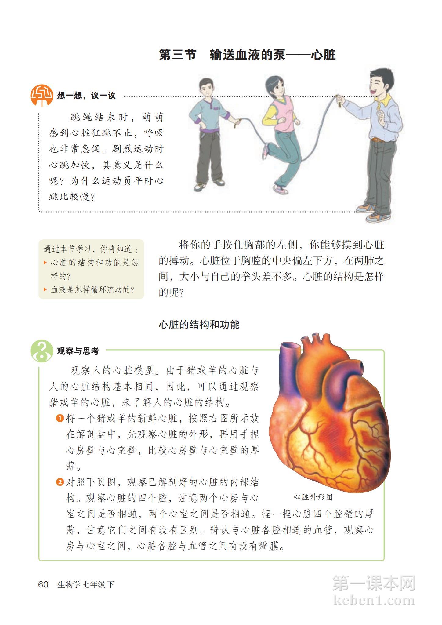 七年级生物下册人教版课本图片