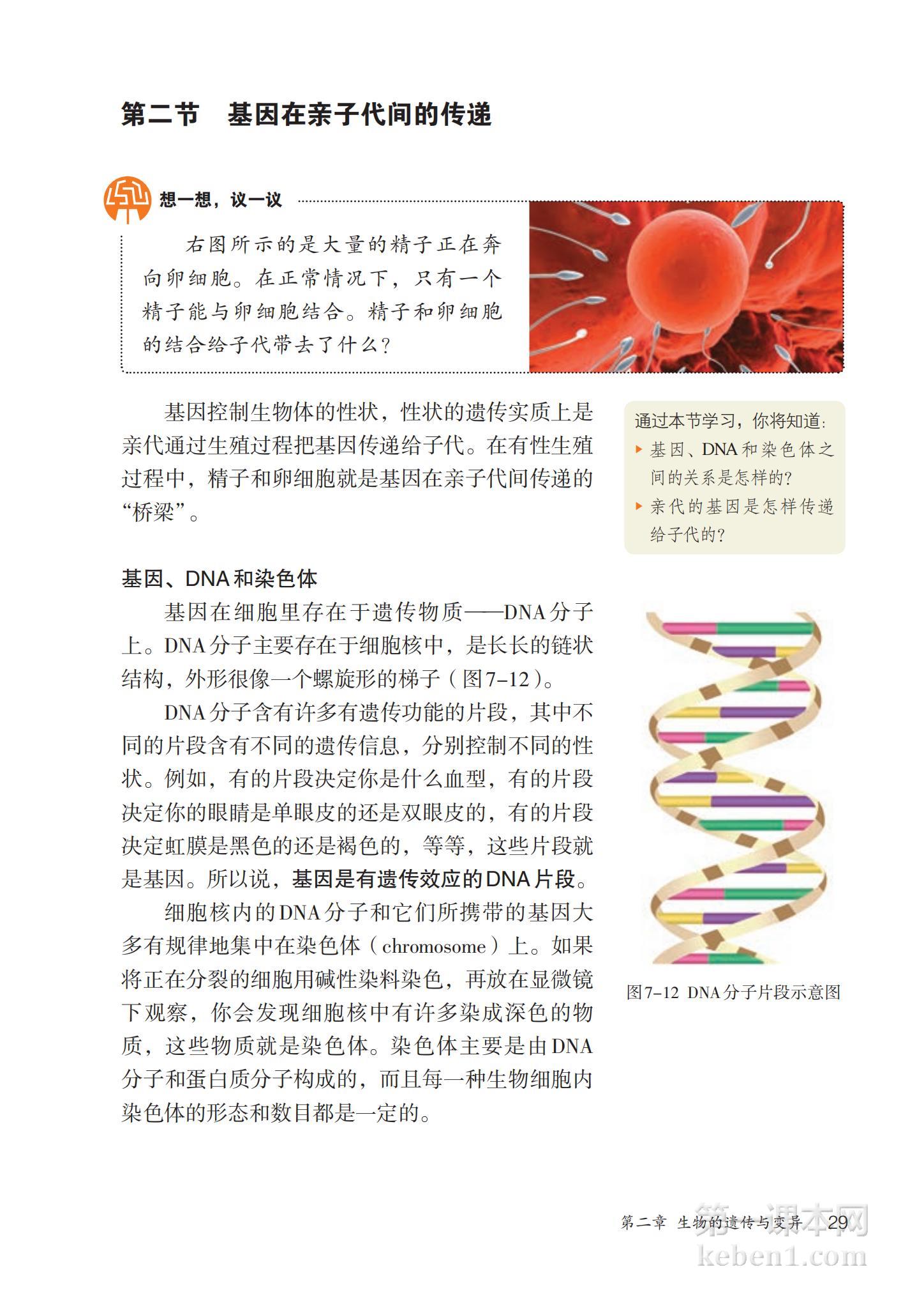 八年级生物下册人教版课本图片