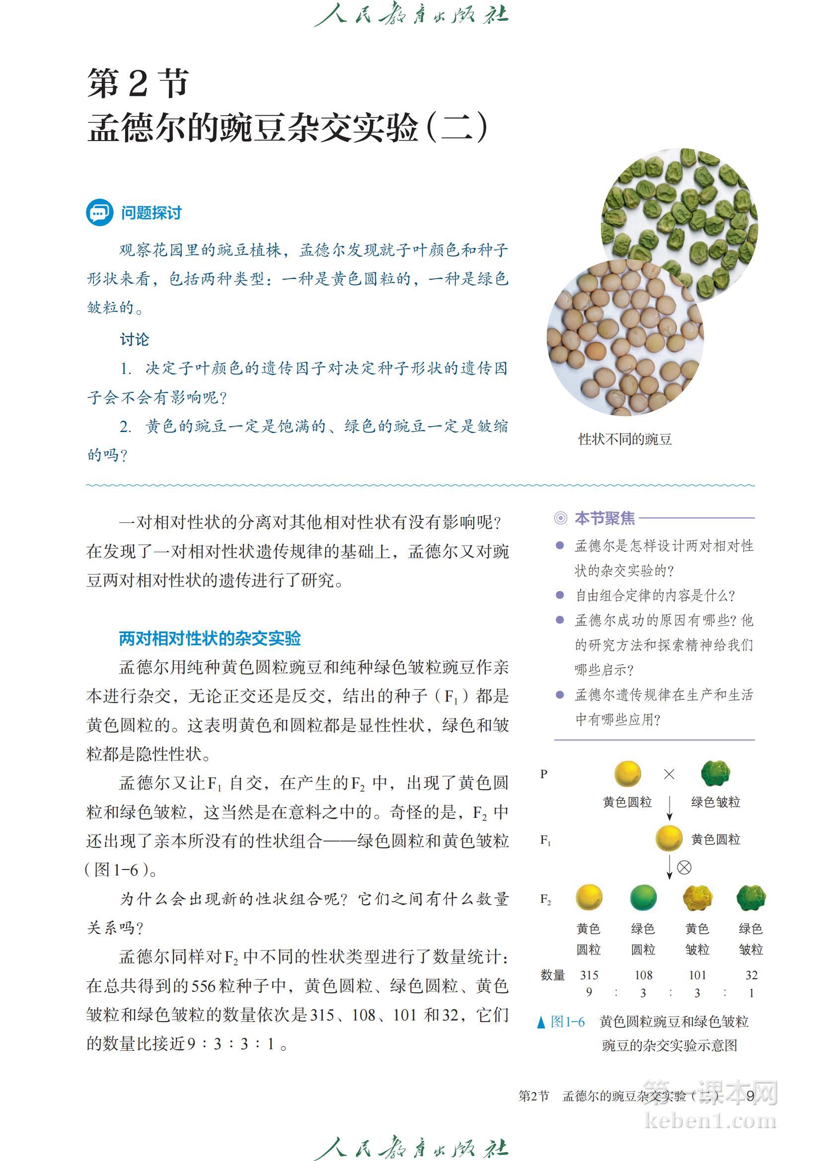 高中生物必修2人教版课本图片