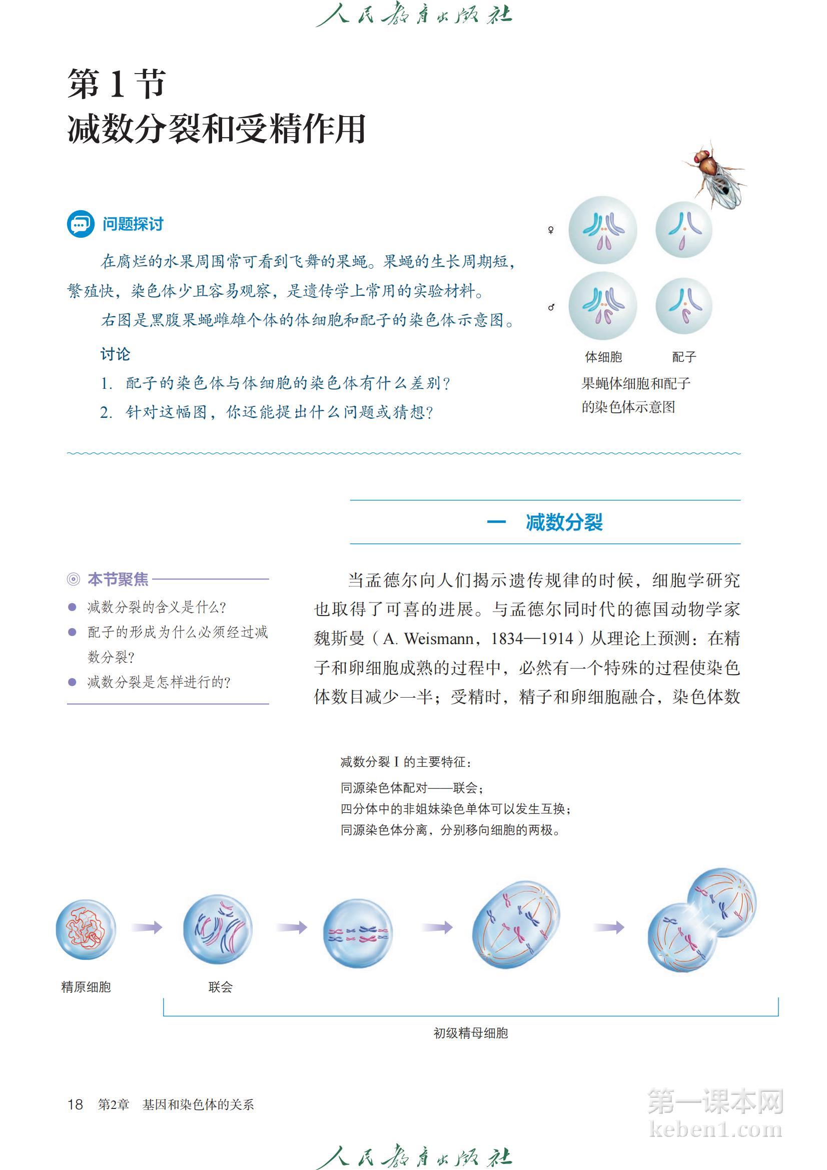 高中生物必修2人教版课本图片