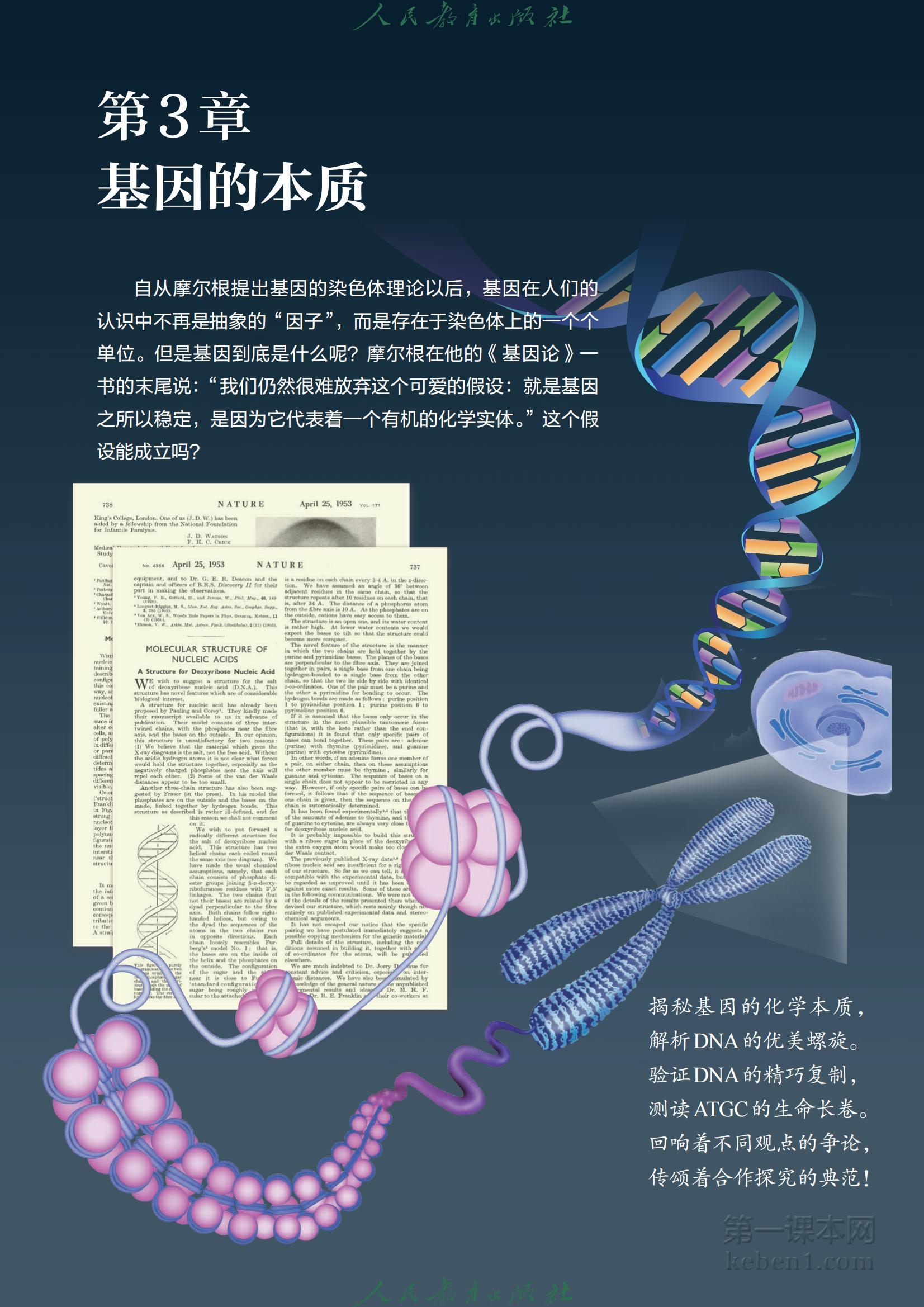 高中生物必修2人教版课本图片