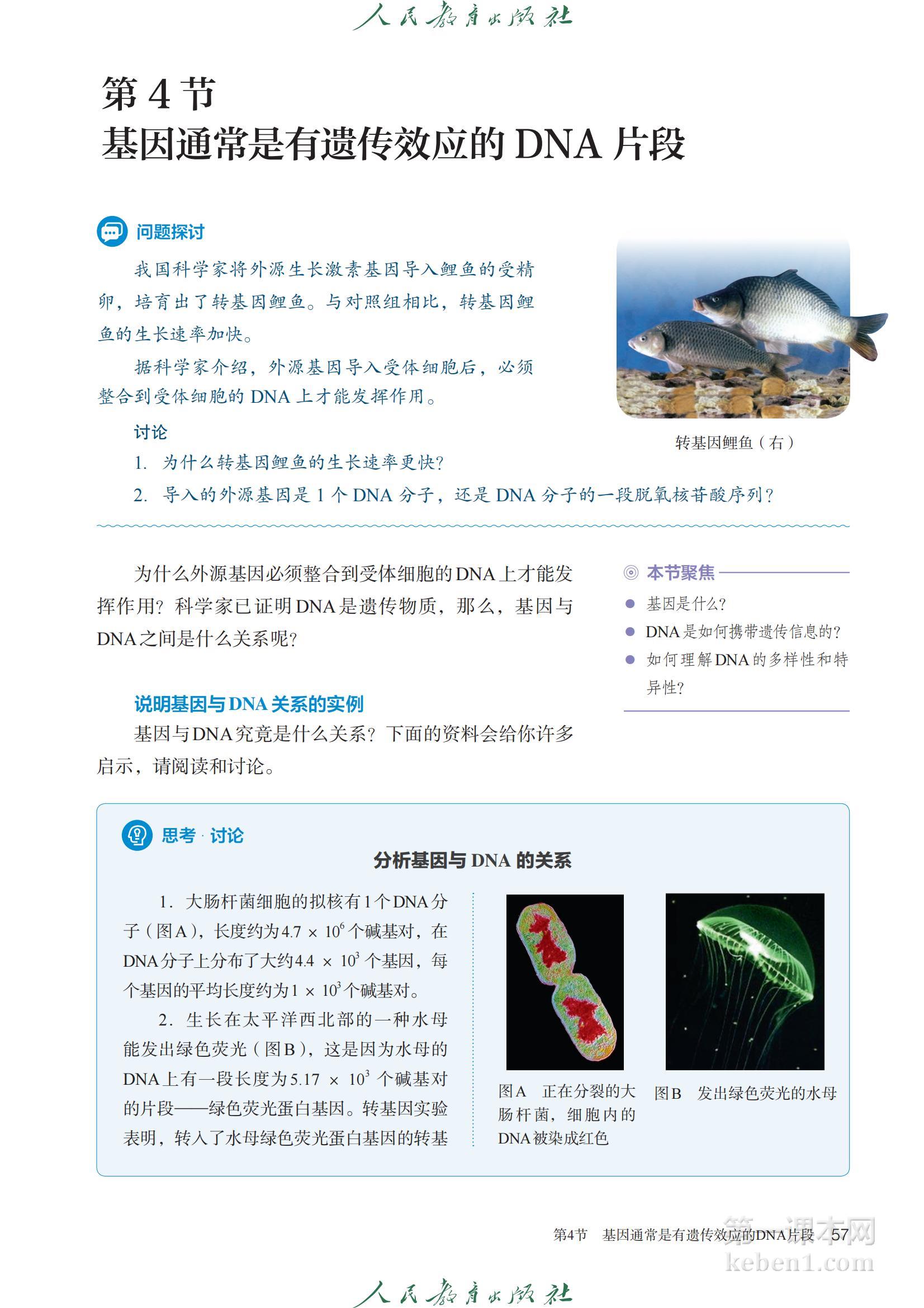 高中生物必修2人教版课本图片