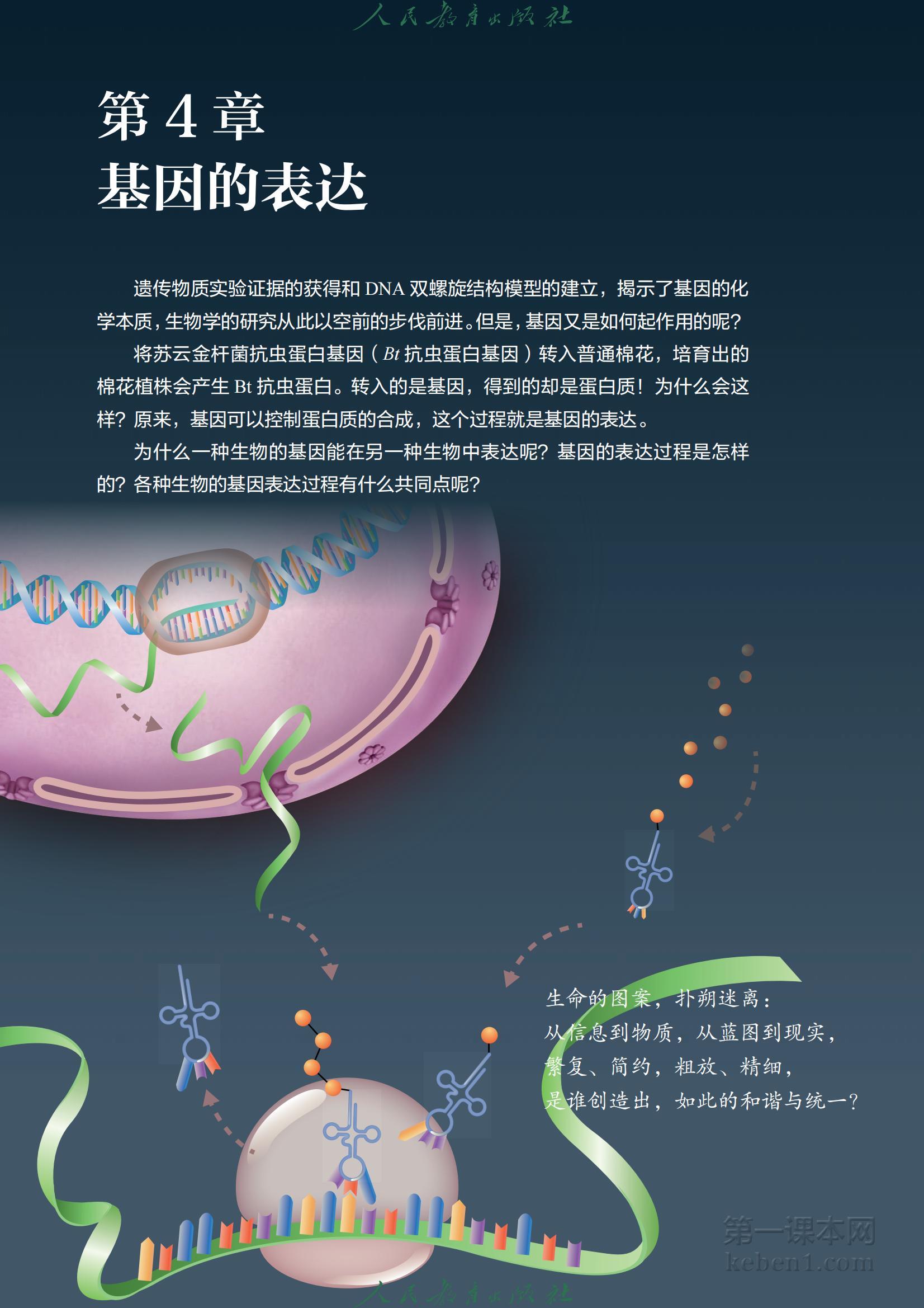 高中生物必修2人教版课本图片