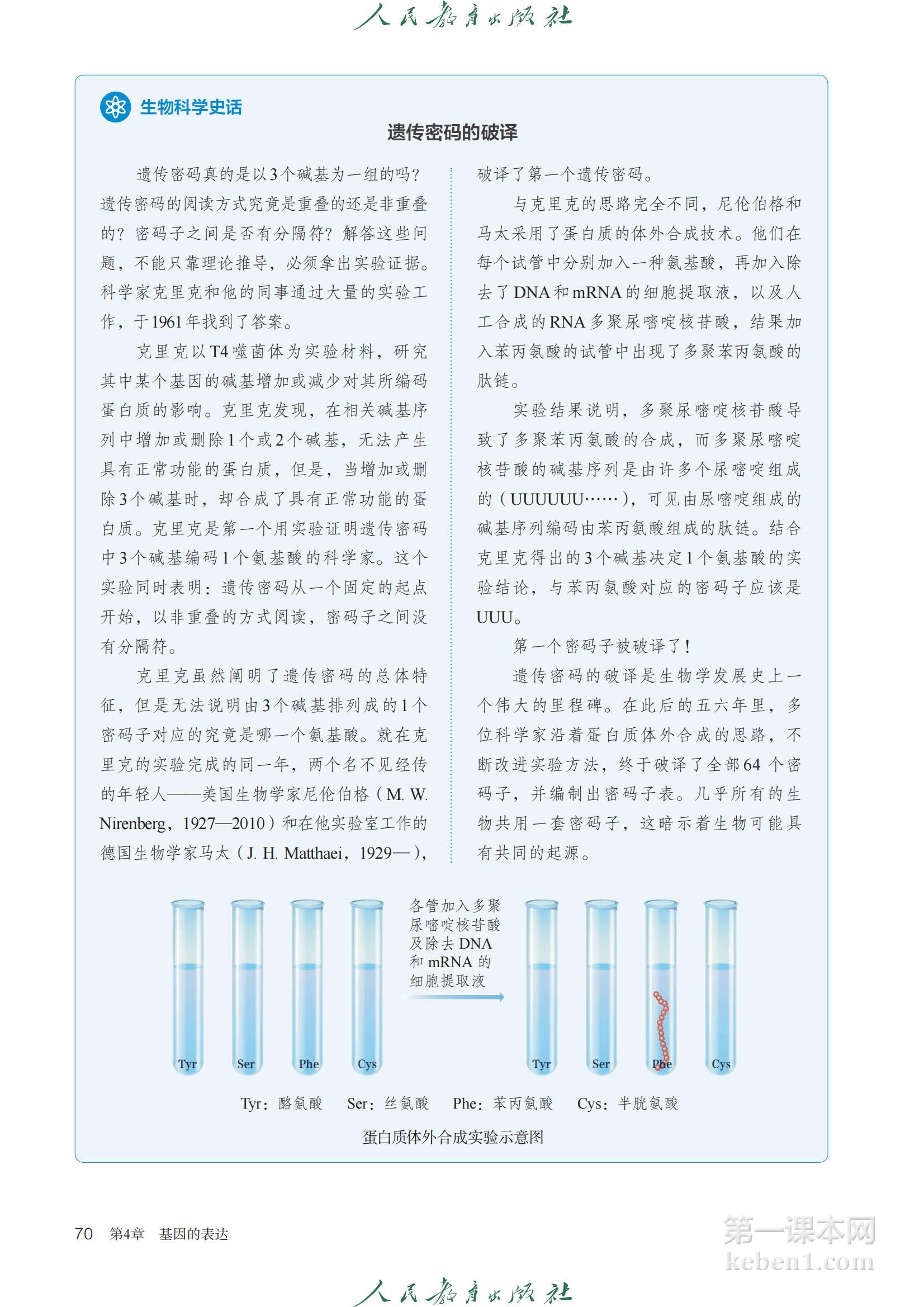 高中生物必修2人教版课本图片