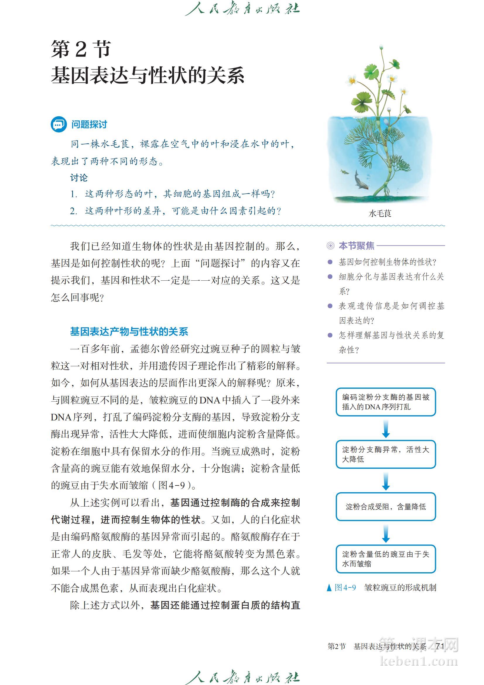 高中生物必修2人教版课本图片